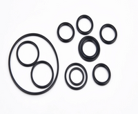 Different Size Color NBR EPDM FKM FPM O-ring/FPM O Ring