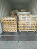 Track Bottom Roller Hot Sale of High Guarantee Factory 50mn