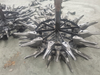 Excavator Spare Part PC200 Bucket Tooth with High Quality on Hot Sale